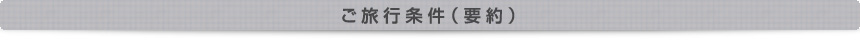 ご旅行条件（要約）
