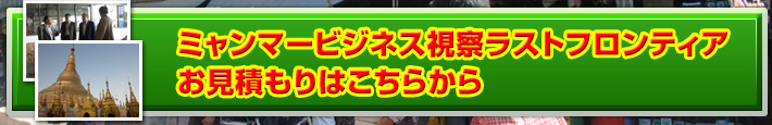 蜂っ子お試し特典20粒入り500円（送料無料）を申し込む