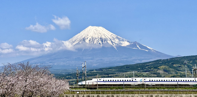 静岡の旅